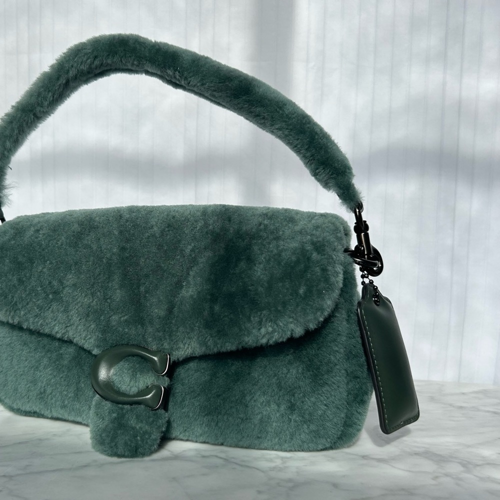 Brand new Coach  green shearling shoulder bag.Beautiful!!